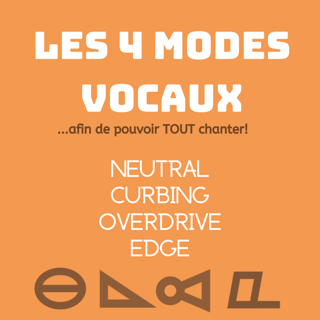 CVT en Francais Dida Robbert